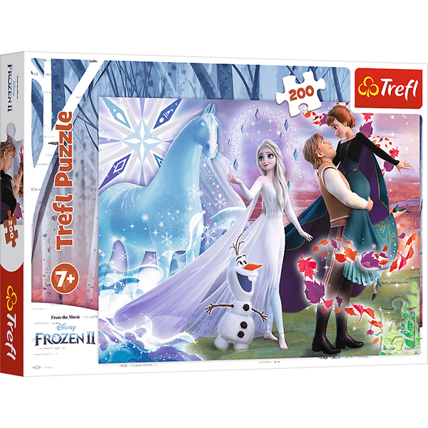 PUZZLE 200 MAGIC SISTER'S WOR