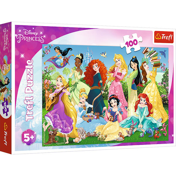 PUZZLE 100 CHARMING PRINCESSE